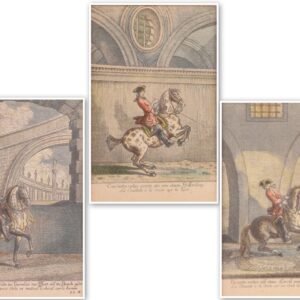 Ridinger, Johann Elias (1698-1767) - Reiterschule